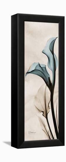 Calla Lily Moments-Albert Koetsier-Framed Stretched Canvas