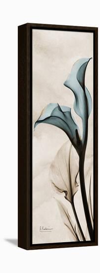 Calla Lily Moments-Albert Koetsier-Framed Stretched Canvas