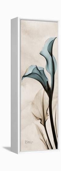 Calla Lily Moments-Albert Koetsier-Framed Stretched Canvas