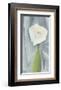 Calla Lily on Grey, 1928-Georgia O'Keeffe-Framed Art Print