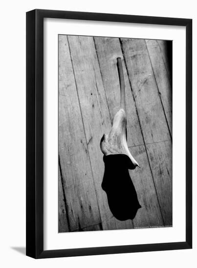 Calla Lily on Wooden Floor-null-Framed Photo