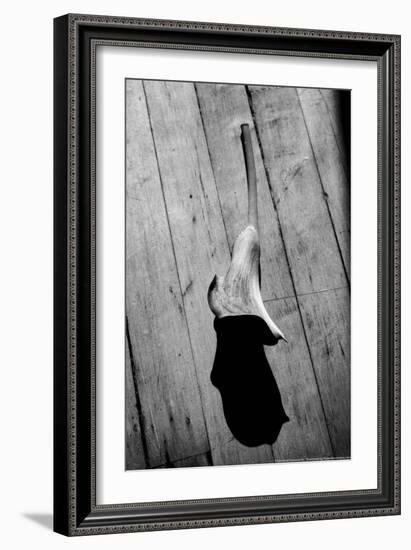 Calla Lily on Wooden Floor-null-Framed Photo