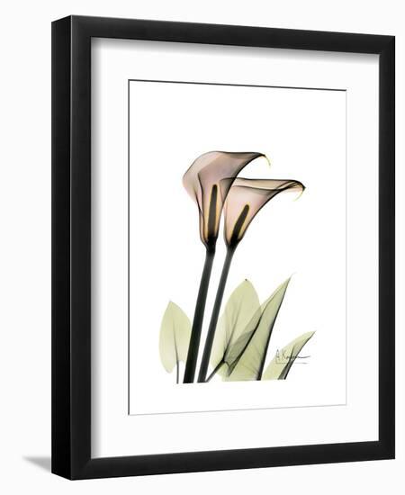 Calla Lily Portrait-Albert Koetsier-Framed Art Print