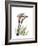 Calla Lily Portrait-Albert Koetsier-Framed Premium Giclee Print