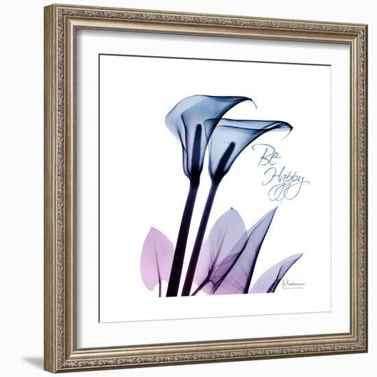 Calla Lily Purp-Albert Koetsier-Framed Art Print