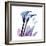 Calla Lily Purp-Albert Koetsier-Framed Art Print