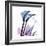 Calla Lily Purp-Albert Koetsier-Framed Art Print