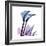 Calla Lily Purp-Albert Koetsier-Framed Premium Giclee Print