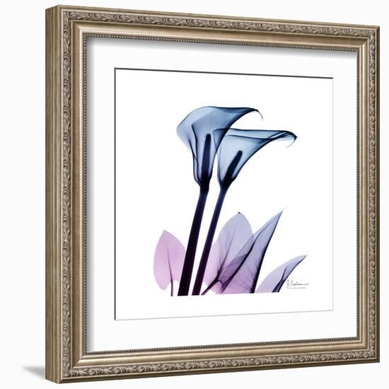 Calla Lily Purp-Albert Koetsier-Framed Art Print