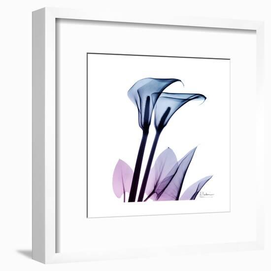 Calla Lily Purp-Albert Koetsier-Framed Art Print