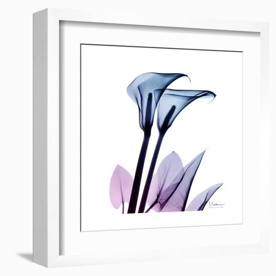 Calla Lily Purp-Albert Koetsier-Framed Art Print