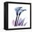 Calla Lily Purp-Albert Koetsier-Framed Stretched Canvas