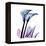 Calla Lily Purp-Albert Koetsier-Framed Stretched Canvas