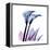 Calla Lily Purp-Albert Koetsier-Framed Stretched Canvas