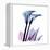 Calla Lily Purp-Albert Koetsier-Framed Stretched Canvas