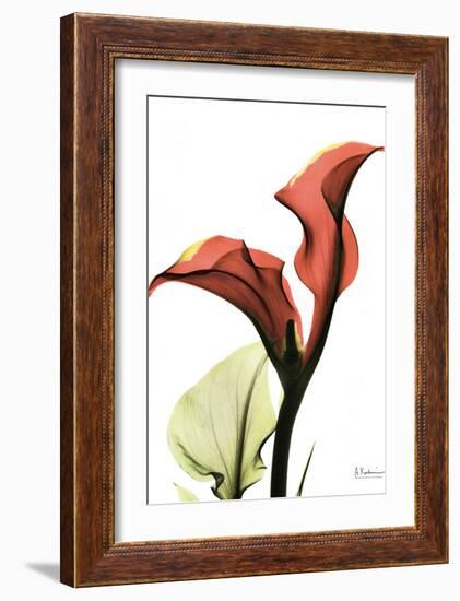 Calla Lily Red-Albert Koetsier-Framed Art Print