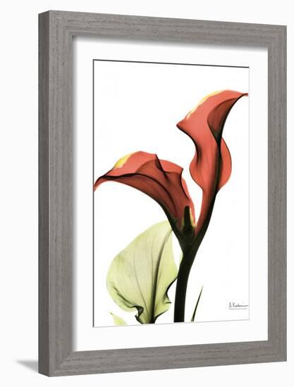 Calla Lily Red-Albert Koetsier-Framed Art Print