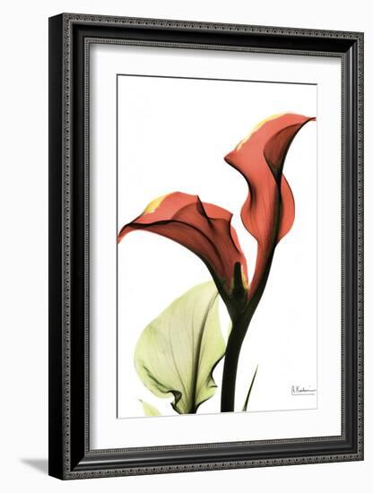 Calla Lily Red-Albert Koetsier-Framed Art Print