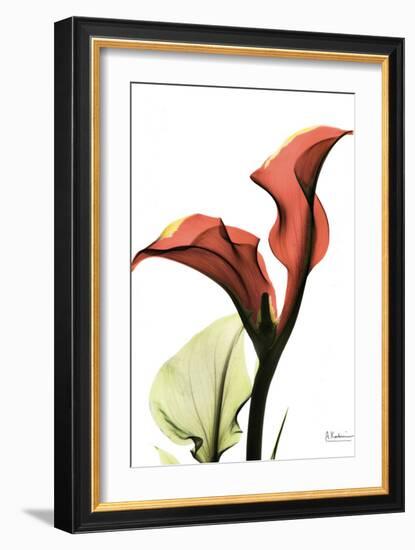 Calla Lily Red-Albert Koetsier-Framed Art Print