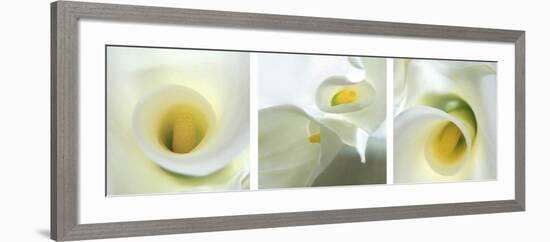 Calla Lily Triptych-Anna Miller-Framed Photographic Print