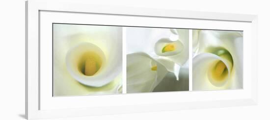 Calla Lily Triptych-Anna Miller-Framed Photographic Print