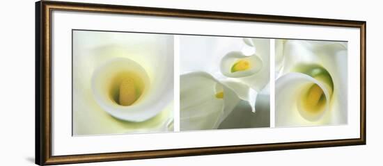 Calla Lily Triptych-Anna Miller-Framed Photographic Print