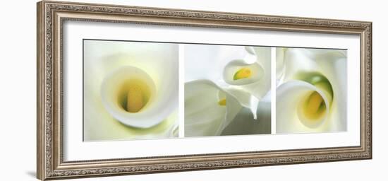 Calla Lily Triptych-Anna Miller-Framed Photographic Print