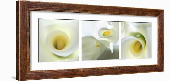 Calla Lily Triptych-Anna Miller-Framed Photographic Print