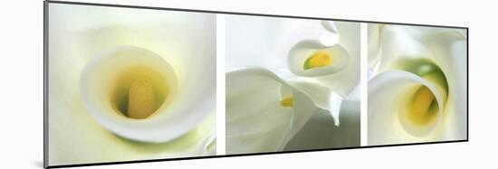 Calla Lily Triptych-Anna Miller-Mounted Photographic Print