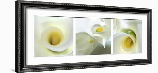 Calla Lily Triptych-Anna Miller-Framed Photographic Print