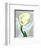 'Calla Lily Turned Away, 1923' Art Print - Georgia O'Keeffe | Art.com