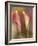 Calla Lily-Adam Jones-Framed Photographic Print