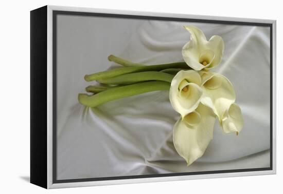 Calla Lily-Anna Miller-Framed Premier Image Canvas