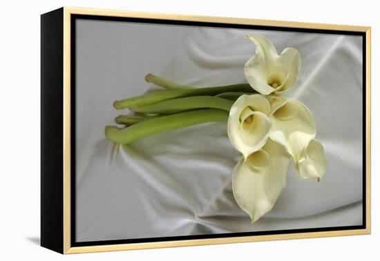 Calla Lily-Anna Miller-Framed Premier Image Canvas