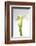 Calla Lily-Anna Miller-Framed Premium Photographic Print