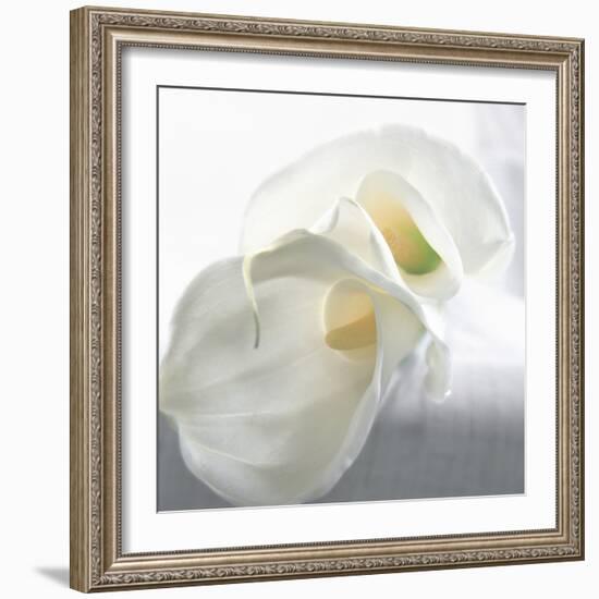 Calla Lily-Anna Miller-Framed Photographic Print