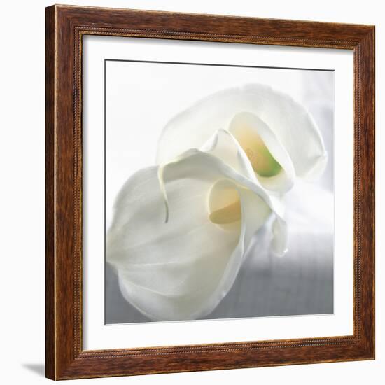 Calla Lily-Anna Miller-Framed Photographic Print