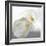 Calla Lily-Anna Miller-Framed Photographic Print