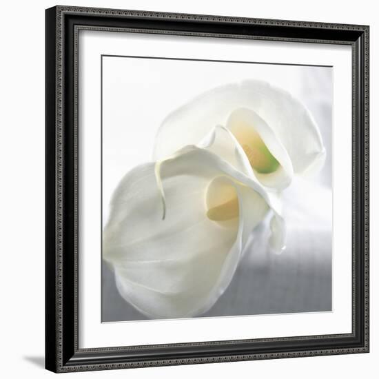 Calla Lily-Anna Miller-Framed Photographic Print