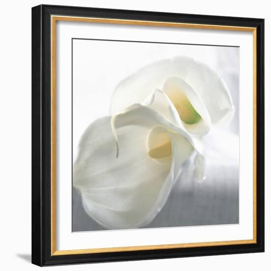 Calla Lily-Anna Miller-Framed Photographic Print