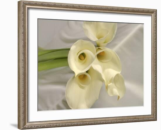 Calla Lily-Anna Miller-Framed Photographic Print