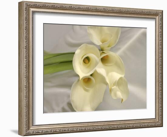 Calla Lily-Anna Miller-Framed Photographic Print