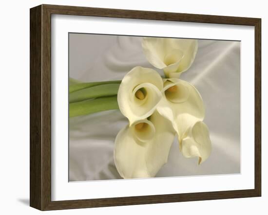 Calla Lily-Anna Miller-Framed Photographic Print