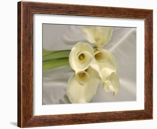 Calla Lily-Anna Miller-Framed Photographic Print