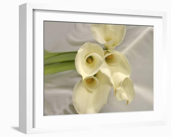 Calla Lily-Anna Miller-Framed Photographic Print