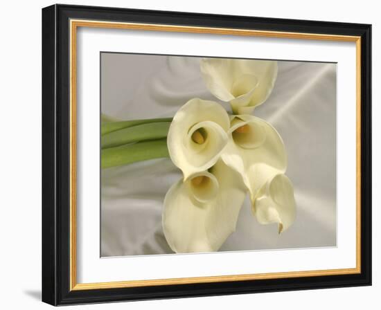 Calla Lily-Anna Miller-Framed Photographic Print