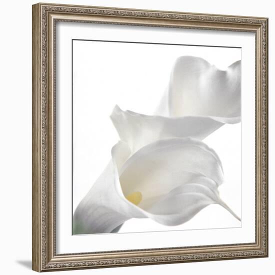 Calla Lily-Anna Miller-Framed Photographic Print