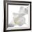 Calla Lily-Anna Miller-Framed Photographic Print