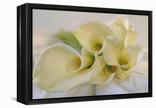 Calla Lily-Anna Miller-Framed Premier Image Canvas