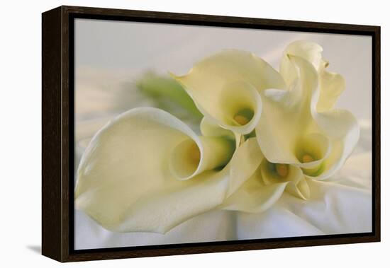 Calla Lily-Anna Miller-Framed Premier Image Canvas